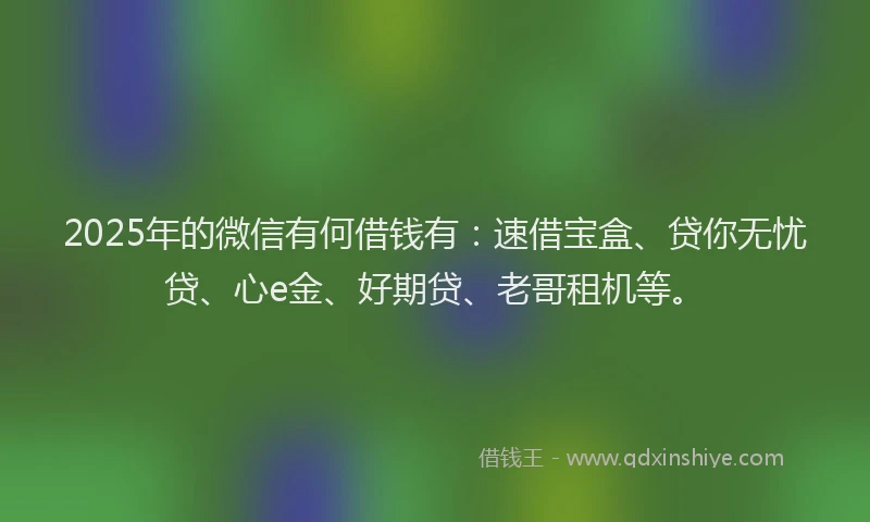 2025年的微信有何借钱有：速借宝盒、贷你无忧贷、心e金、好期贷、老哥租机等。