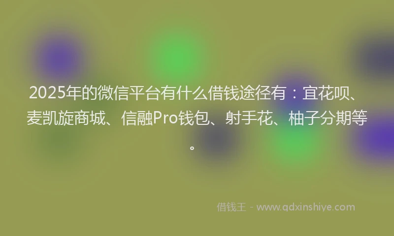 2025年的微信平台有什么借钱途径有：宜花呗、麦凯旋商城、信融Pro钱包、射手花、柚子分期等。