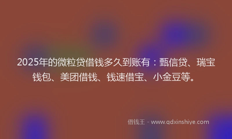 2025年的微粒贷借钱多久到账有:甄信贷、瑞宝钱包、美团借钱、钱速借宝、小金豆等。