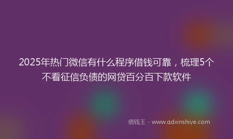 2025年热门微信有什么程序借钱可靠，梳理5个不看征信负债的网贷百分百下款软件