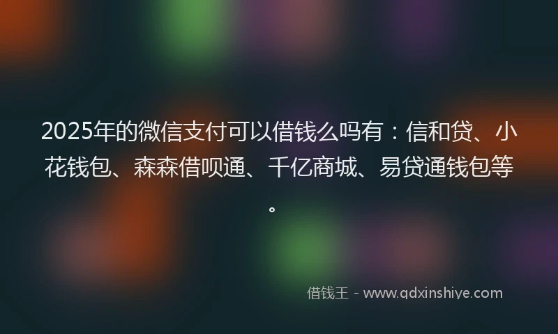 2025年的微信支付可以借钱么吗有：信和贷、小花钱包、森森借呗通、千亿商城、易贷通钱包等。