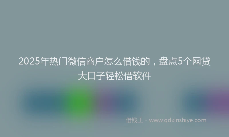 2025年热门微信商户怎么借钱的，盘点5个网贷大口子轻松借软件