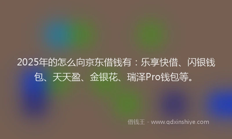 2025年的怎么向京东借钱有：乐享快借、闪银钱包、天天盈、金银花、瑞泽Pro钱包等。