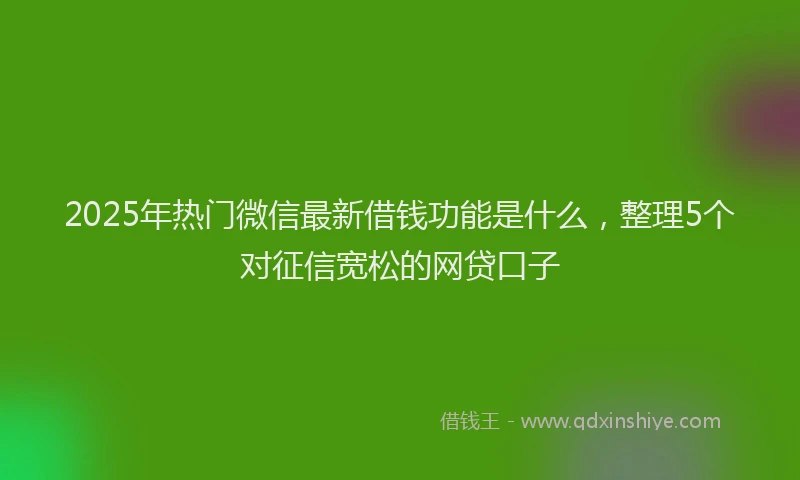 2025年热门微信最新借钱功能是什么，整理5个对征信宽松的网贷口子