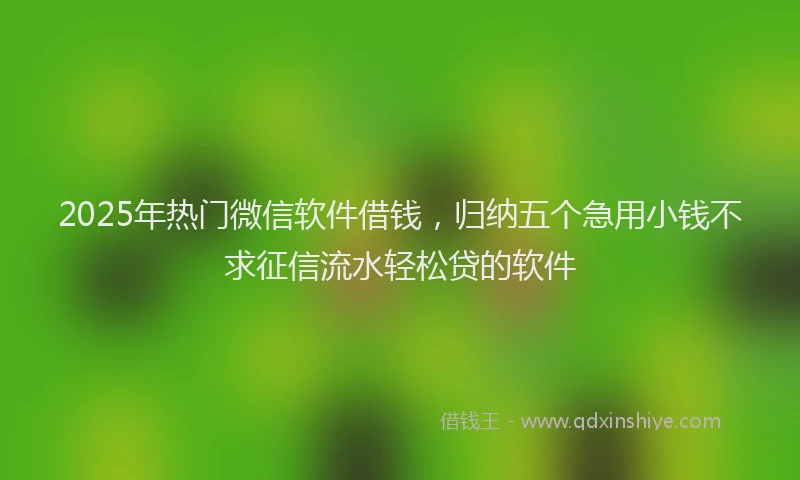 2025年热门微信软件借钱，归纳五个急用小钱不求征信流水轻松贷的软件