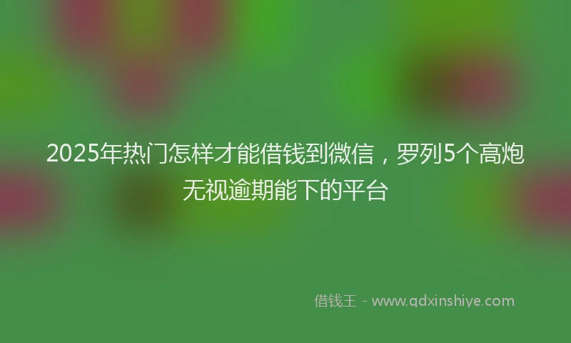 2025年热门怎样才能借钱到微信，罗列5个高炮无视逾期能下的平台