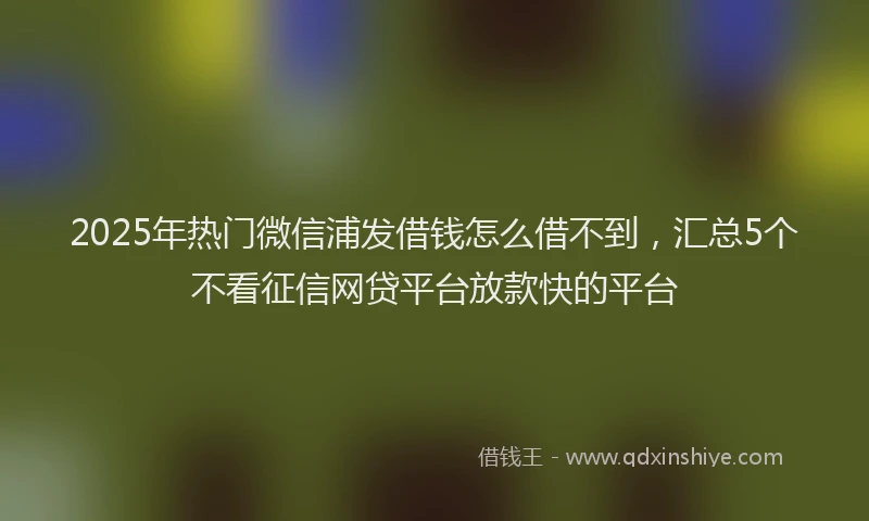 2025年热门微信浦发借钱怎么借不到，汇总5个不看征信网贷平台放款快的平台