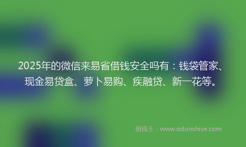 2025年的微信来易省借钱安全吗有：钱袋管家、现金易贷盒、萝卜易购、疾融贷、新一花等。