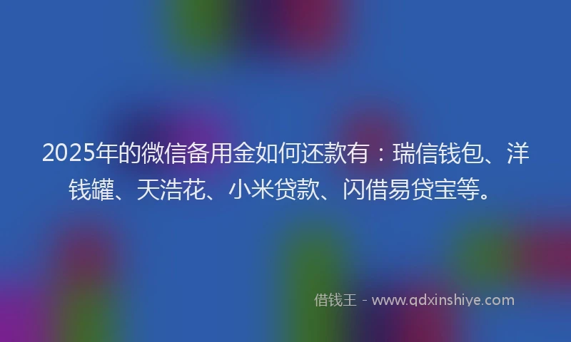2025年的微信备用金如何还款有：瑞信钱包、洋钱罐、天浩花、小米贷款、闪借易贷宝等。