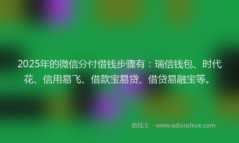 2025年的微信分付借钱步骤有：瑞信钱包、时代花、信用易飞、借款宝易贷、借贷易融宝等。