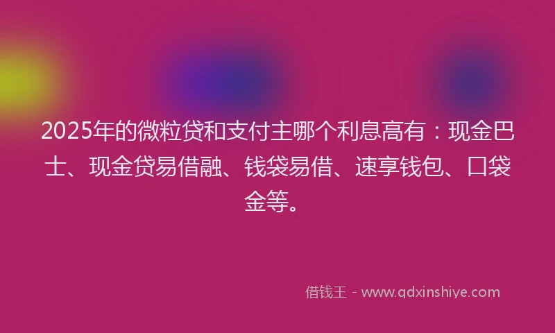 2025年的微粒贷和支付主哪个利息高有：现金巴士、现金贷易借融、钱袋易借、速享钱包、口袋金等。