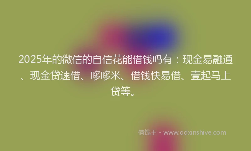 2025年的微信的自信花能借钱吗有：现金易融通、现金贷速借、哆哆米、借钱快易借、壹起马上贷等。