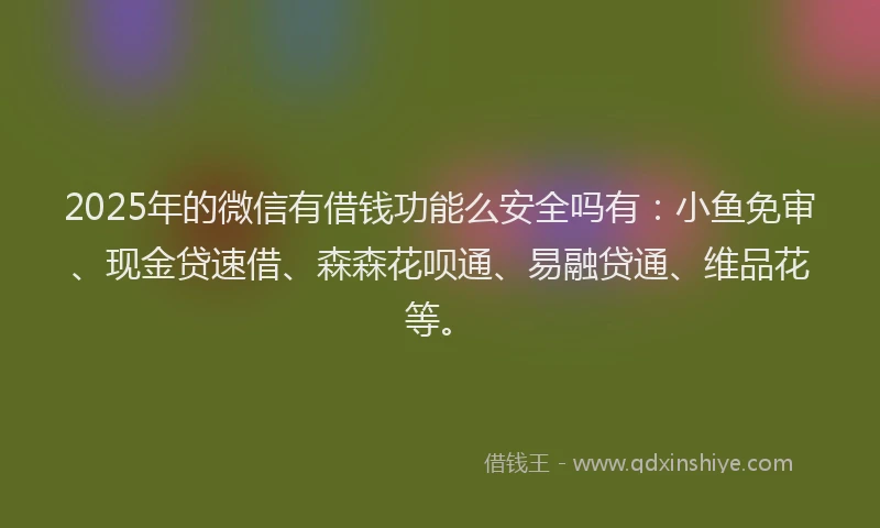 2025年的微信有借钱功能么安全吗有：小鱼免审、现金贷速借、森森花呗通、易融贷通、维品花等。