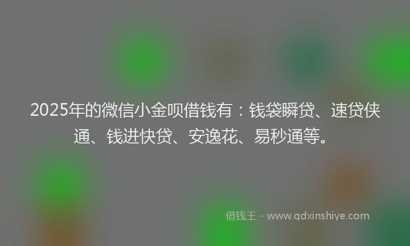 2025年的微信小金呗借钱有：钱袋瞬贷、速贷侠通、钱进快贷、安逸花、易秒通等。