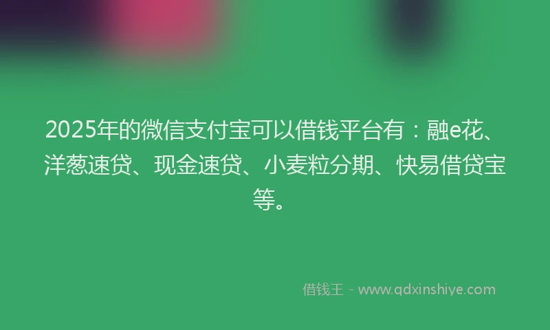 2025年的微信支付宝可以借钱平台有：融e花、洋葱速贷、现金速贷、小麦粒分期、快易借贷宝等。