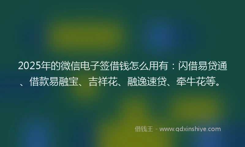 2025年的微信电子签借钱怎么用有：闪借易贷通、借款易融宝、吉祥花、融逸速贷、牵牛花等。