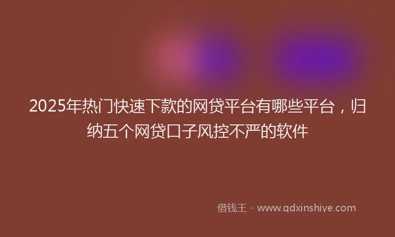 2025年热门快速下款的网贷平台有哪些平台，归纳五个网贷口子风控不严的软件