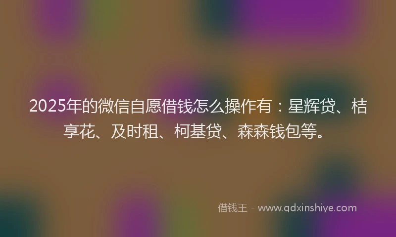 2025年的微信自愿借钱怎么操作有：星辉贷、桔享花、及时租、柯基贷、森森钱包等。
