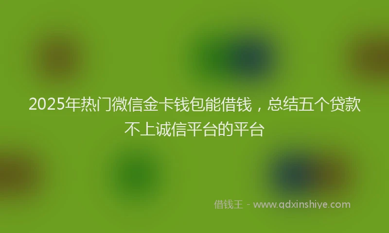 2025年热门微信金卡钱包能借钱，总结五个贷款不上诚信平台的平台