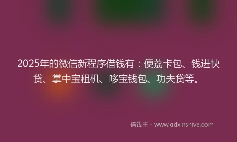 2025年的微信新程序借钱有：便荔卡包、钱进快贷、掌中宝租机、哆宝钱包、功夫贷等。
