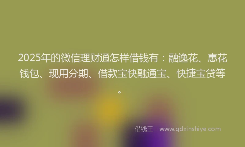 2025年的微信理财通怎样借钱有：融逸花、惠花钱包、现用分期、借款宝快融通宝、快捷宝贷等。
