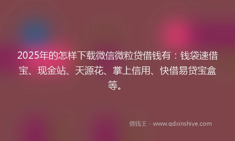 2025年的怎样下载微信微粒贷借钱有：钱袋速借宝、现金站、天源花、掌上信用、快借易贷宝盒等。