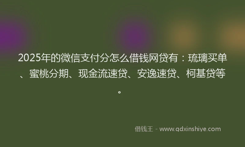 2025年的微信支付分怎么借钱网贷有：琉璃买单、蜜桃分期、现金流速贷、安逸速贷、柯基贷等。