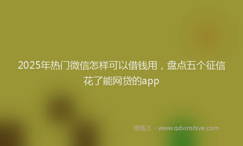 2025年热门微信怎样可以借钱用，盘点五个征信花了能网贷的app