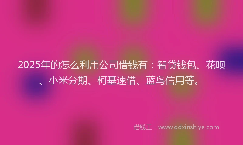 2025年的怎么利用公司借钱有：智贷钱包、花呗、小米分期、柯基速借、蓝鸟信用等。