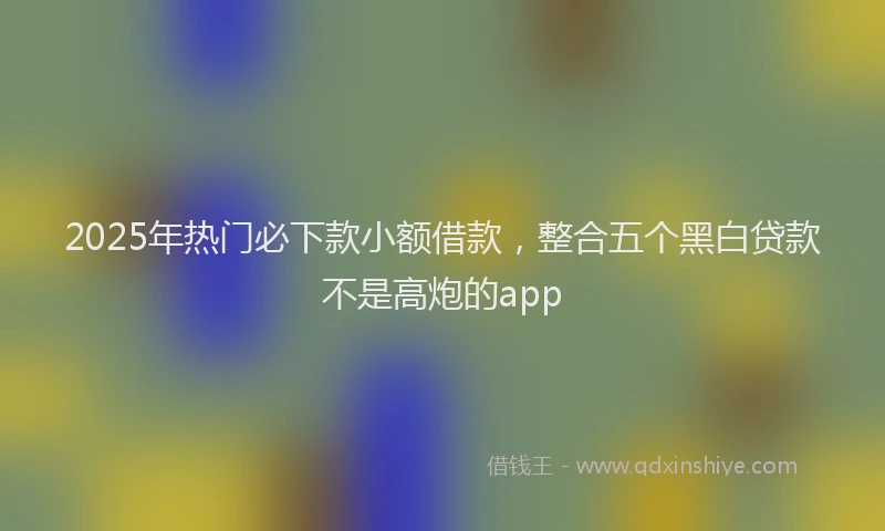2025年热门必下款小额借款，整合五个黑白贷款不是高炮的app