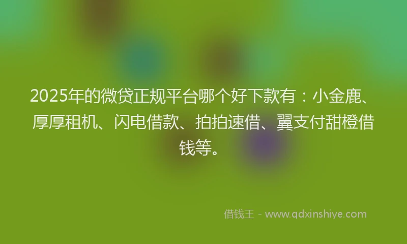 2025年的微贷正规平台哪个好下款有：小金鹿、厚厚租机、闪电借款、拍拍速借、翼支付甜橙借钱等。