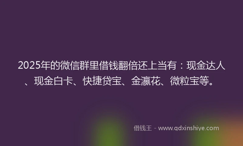 2025年的微信群里借钱翻倍还上当有：现金达人、现金白卡、快捷贷宝、金瀛花、微粒宝等。