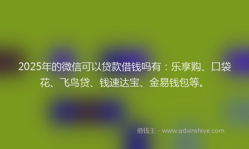 2025年的微信可以贷款借钱吗有：乐享购、口袋花、飞鸟贷、钱速达宝、金易钱包等。