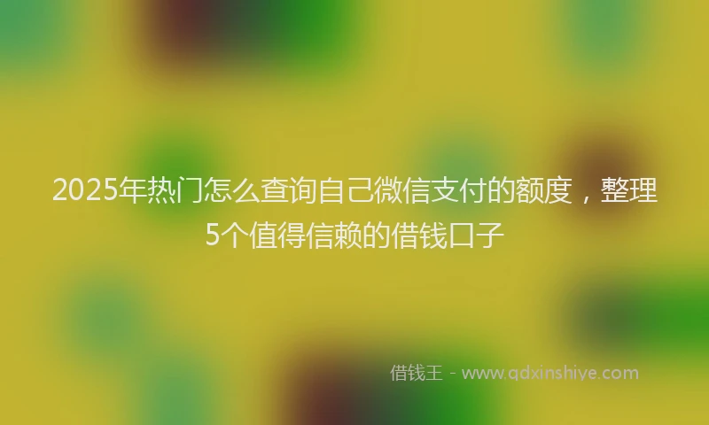 2025年热门怎么查询自己微信支付的额度，整理5个值得信赖的借钱口子