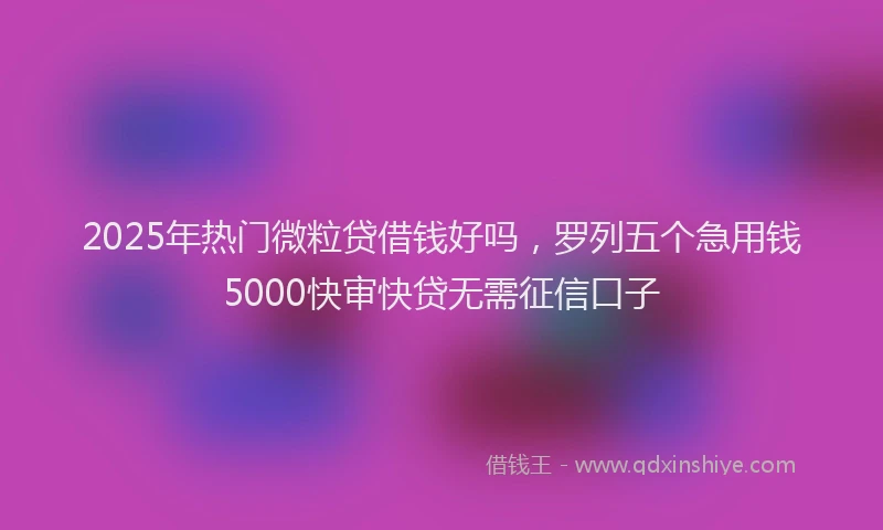2025年热门微粒贷借钱好吗，罗列五个急用钱5000快审快贷无需征信口子