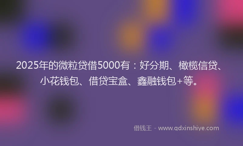 2025年的微粒贷借5000有：好分期、橄榄信贷、小花钱包、借贷宝盒、鑫融钱包+等。