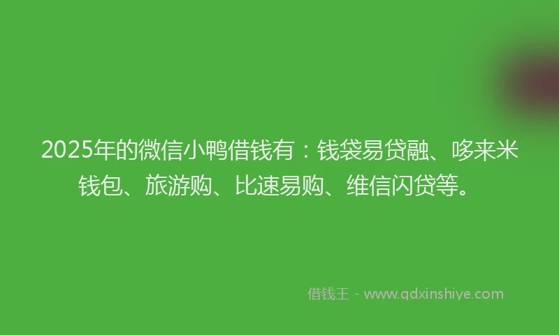 2025年的微信小鸭借钱有：钱袋易贷融、哆来米钱包、旅游购、比速易购、维信闪贷等。