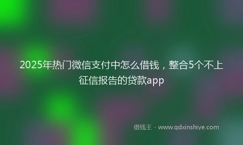 2025年热门微信支付中怎么借钱，整合5个不上征信报告的贷款app