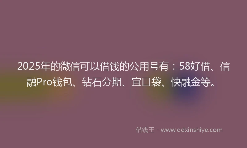 2025年的微信可以借钱的公用号有：58好借、信融Pro钱包、钻石分期、宜口袋、快融金等。