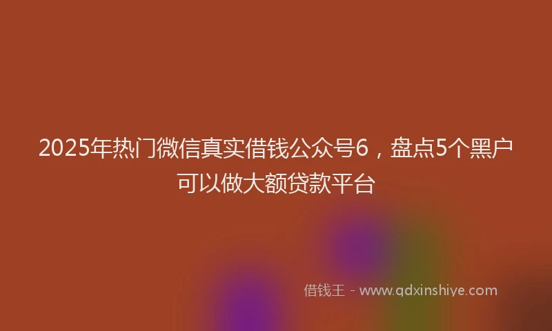 2025年热门微信真实借钱公众号6，盘点5个黑户可以做大额贷款平台