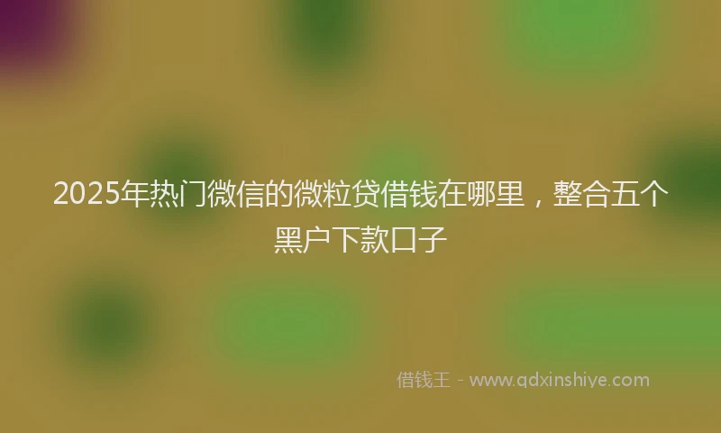 2025年热门微信的微粒贷借钱在哪里，整合五个黑户下款口子