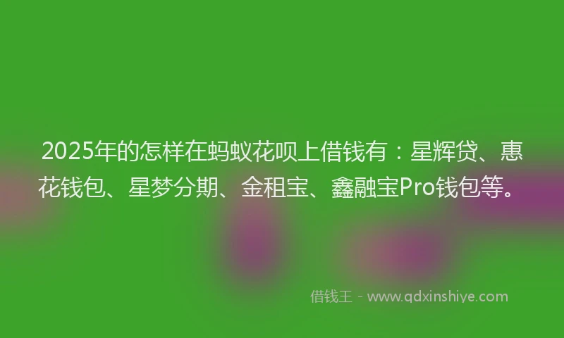 2025年的怎样在蚂蚁花呗上借钱有：星辉贷、惠花钱包、星梦分期、金租宝、鑫融宝Pro钱包等。