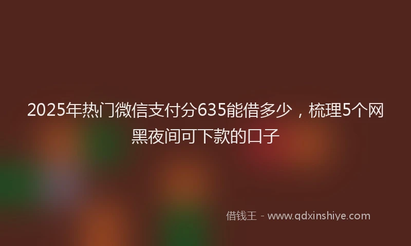 2025年热门微信支付分635能借多少，梳理5个网黑夜间可下款的口子
