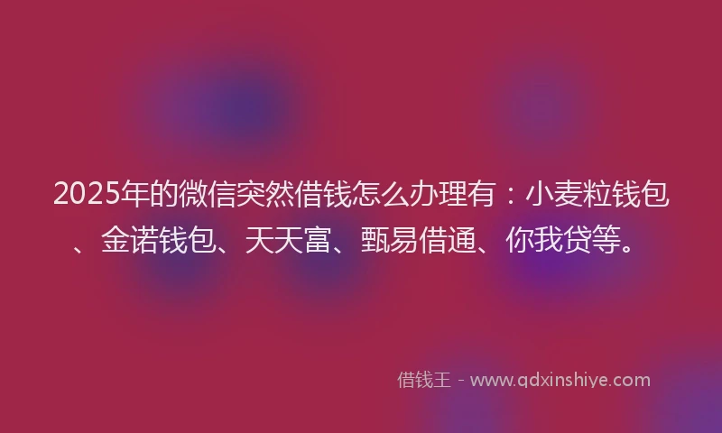 2025年的微信突然借钱怎么办理有:小麦粒钱包、金诺钱包、天天富、甄易借通、你我贷等。