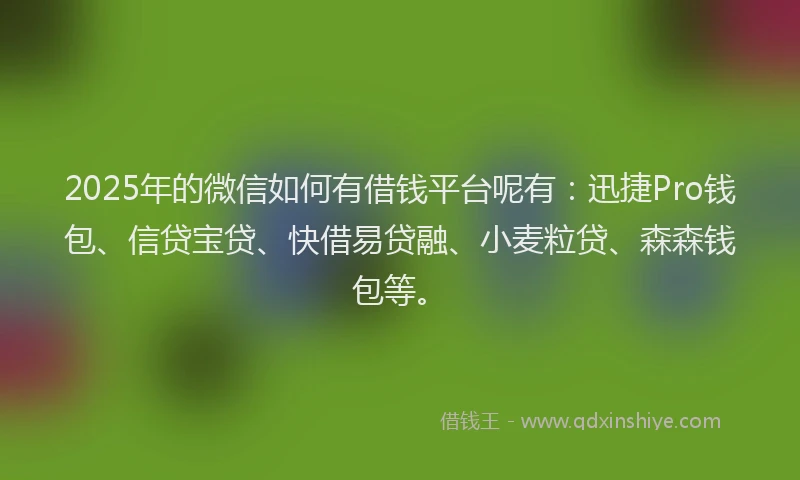 2025年的微信如何有借钱平台呢有：迅捷Pro钱包、信贷宝贷、快借易贷融、小麦粒贷、森森钱包等。