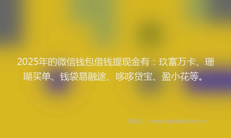2025年的微信钱包借钱提现金有：玖富万卡、珊瑚买单、钱袋易融途、哆哆贷宝、盈小花等。
