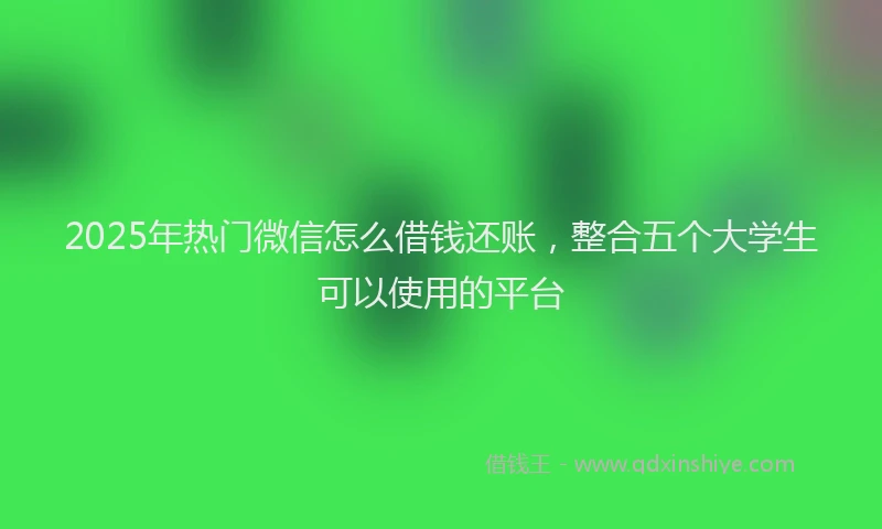 2025年热门微信怎么借钱还账，整合五个大学生可以使用的平台