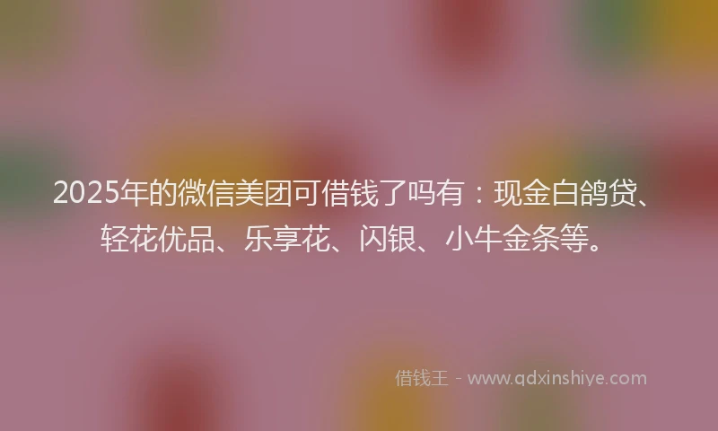 2025年的微信美团可借钱了吗有：现金白鸽贷、轻花优品、乐享花、闪银、小牛金条等。
