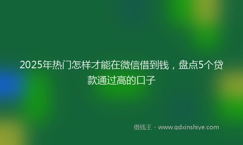 2025年热门怎样才能在微信借到钱，盘点5个贷款通过高的口子