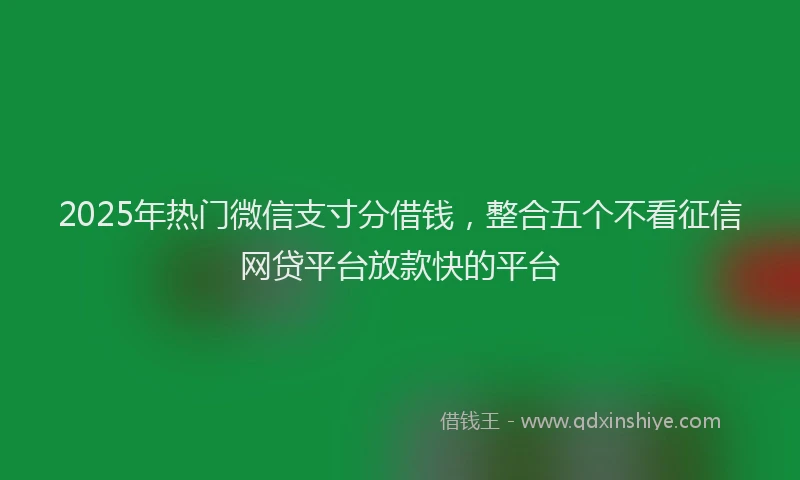 2025年热门微信支寸分借钱，整合五个不看征信网贷平台放款快的平台